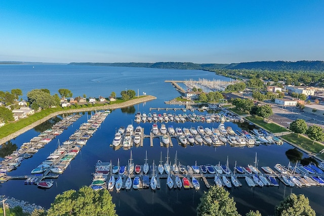 2041 Oak St, Lake City, MN 55041 - drone / aerial view featuring a water view