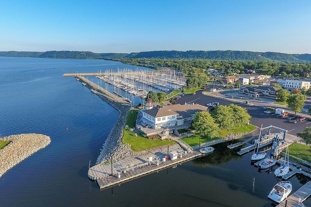 2041 Oak St, Lake City, MN 55041 - drone / aerial view of a nearby body of water and numerous boat docks