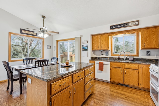 kitchen with light wood finished floors, a sink, range with two ovens, visible vents, and dishwasher