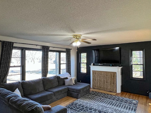 305 Kneale Ave N, Thief River Falls, MN 56701 - living room with plenty of natural light, wood finished floors, and a textured ceiling