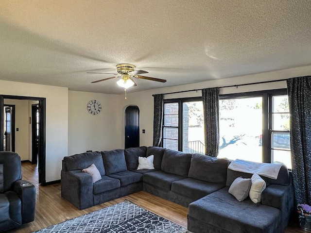 305 Kneale Ave N, Thief River Falls, MN 56701 - living area featuring a textured ceiling, wood finished floors, plenty of natural light, and arched walkways