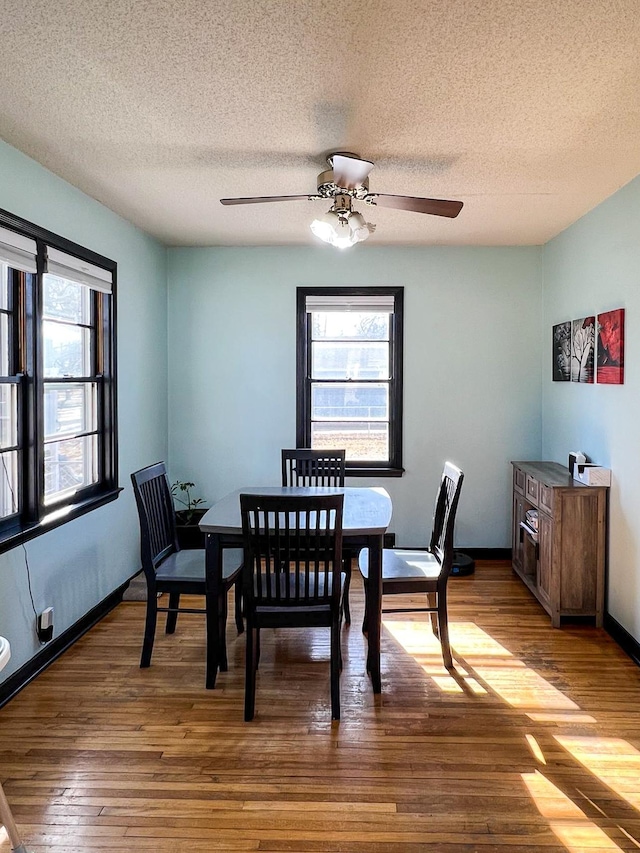 305 Kneale Ave N, Thief River Falls, MN 56701 - dining room featuring a textured ceiling, wood finished floors, baseboards, and a ceiling fan