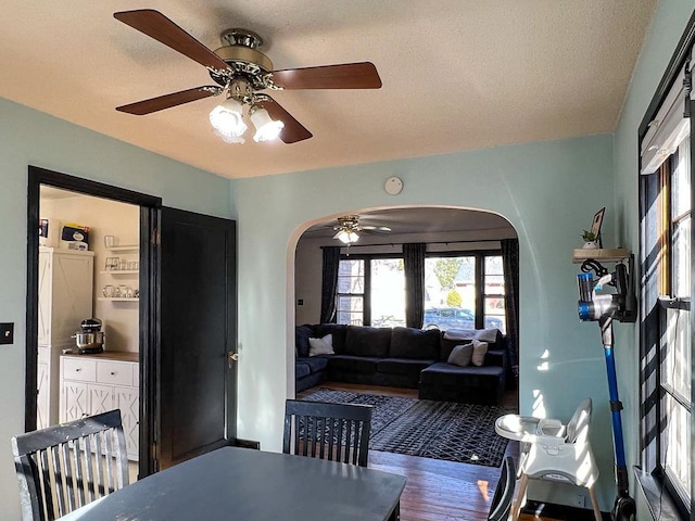 305 Kneale Ave N, Thief River Falls, MN 56701 - dining room with arched walkways, wood finished floors, and ceiling fan