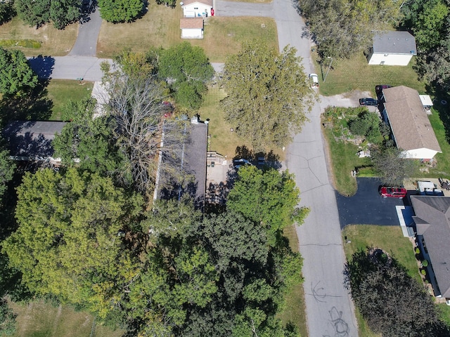 drone / aerial view