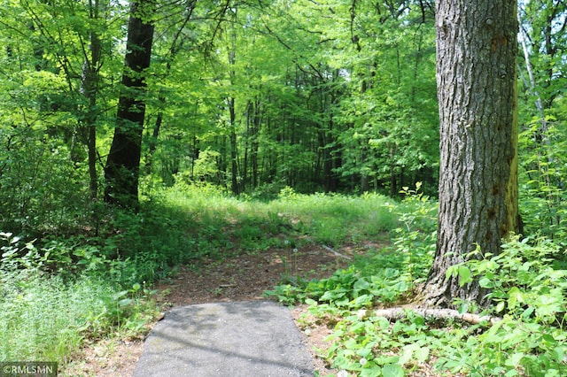 14638 State Highway 70, Pine City, MN 55063 - view of woods