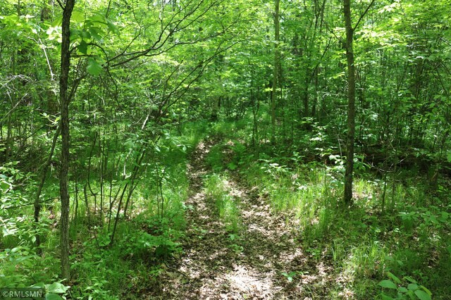 14638 State Highway 70, Pine City, MN 55063 - view of wooded area