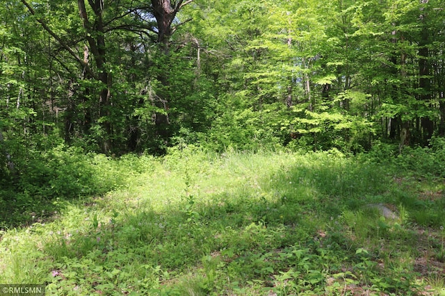 14638 State Highway 70, Pine City, MN 55063 - view of tree filled area