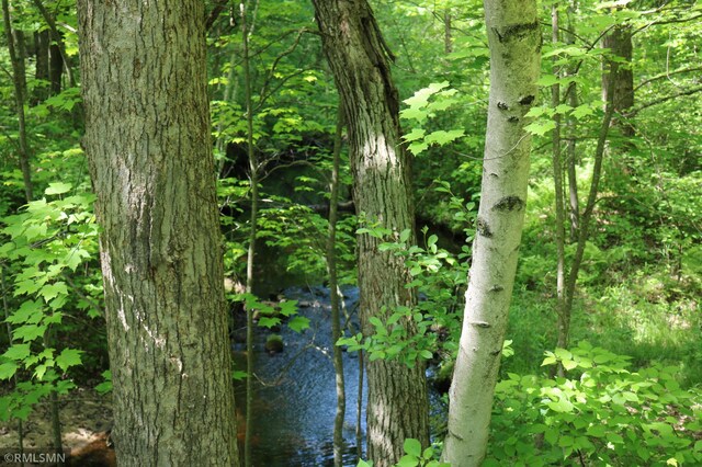 14638 State Highway 70, Pine City, MN 55063 - view of local wilderness featuring a nearby body of water