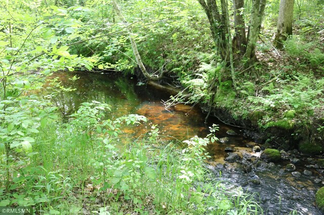 14638 State Highway 70, Pine City, MN 55063 - view of undeveloped land