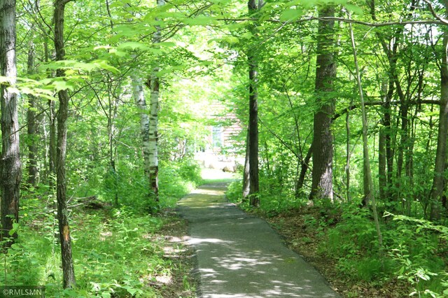 14638 State Highway 70, Pine City, MN 55063 - view of community with a wooded view