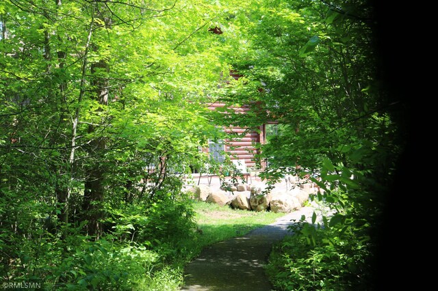 14638 State Highway 70, Pine City, MN 55063 - view of local wilderness