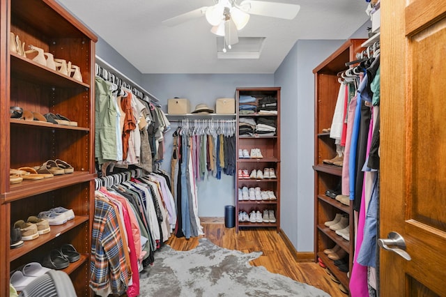 spacious closet featuring ceiling fan and wood finished floors