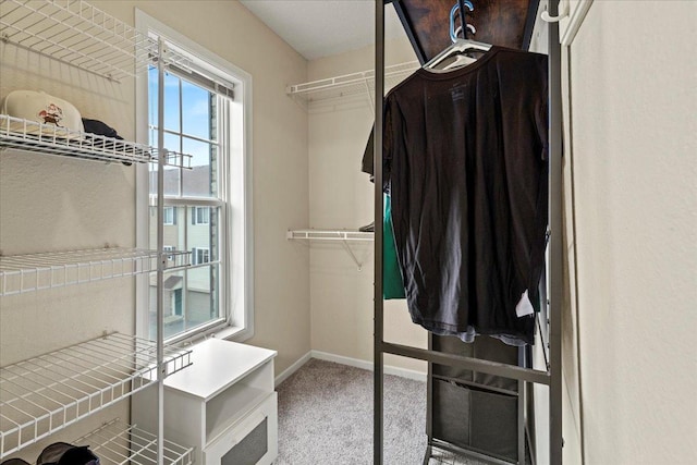 6491 Regency Ln, Eden Prairie, MN 55344 - spacious closet featuring carpet floors