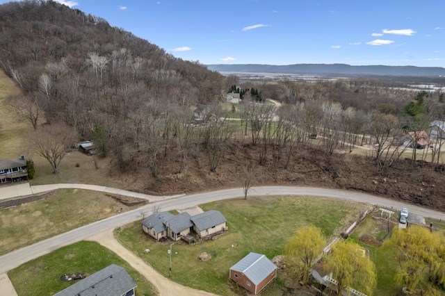 bird's eye view with a mountain view