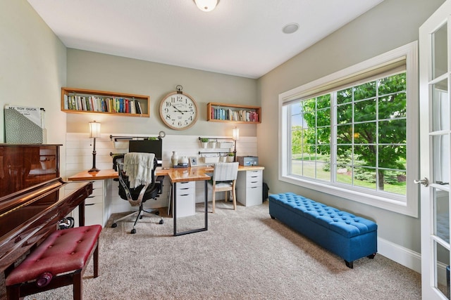 3209 Symphony Ct, Chaska, MN 55318 - office area with carpet flooring