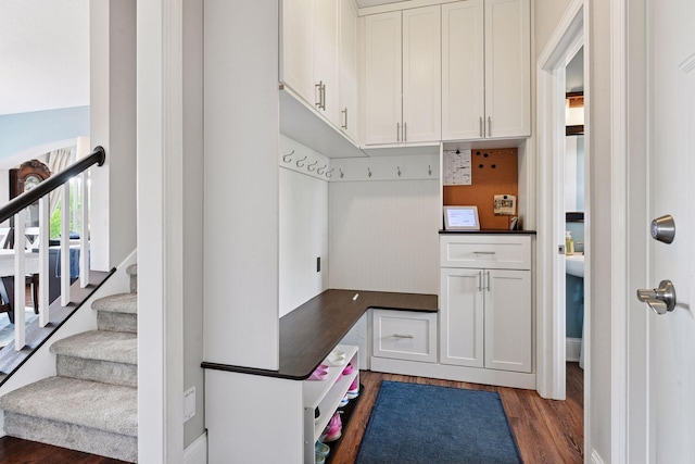 3209 Symphony Ct, Chaska, MN 55318 - mudroom featuring dark wood-style floors