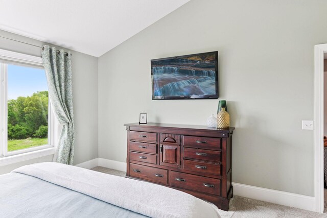 3209 Symphony Ct, Chaska, MN 55318 - bedroom featuring lofted ceiling, multiple windows, and light carpet
