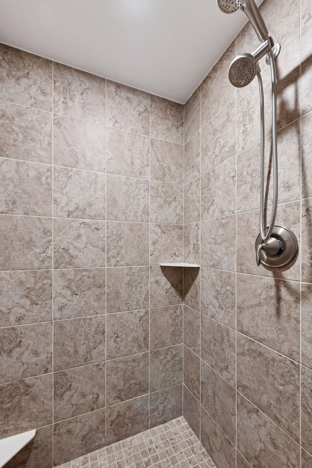 3209 Symphony Ct, Chaska, MN 55318 - full bathroom with a tile shower