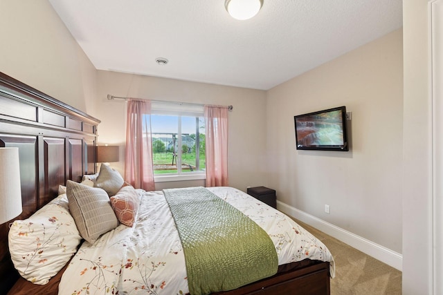 3209 Symphony Ct, Chaska, MN 55318 - bedroom featuring baseboards and carpet flooring