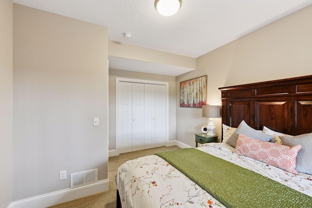 3209 Symphony Ct, Chaska, MN 55318 - bedroom with carpet and a closet