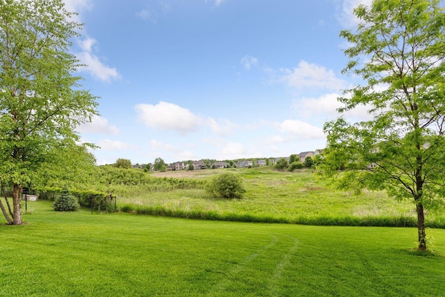 3209 Symphony Ct, Chaska, MN 55318 - view of grassy yard