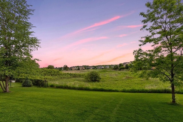 3209 Symphony Ct, Chaska, MN 55318 - view of grassy yard