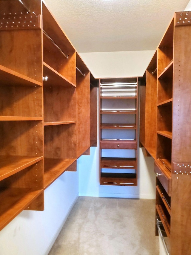 1070 Grandview Ct NE Unit 413, Columbia Heights, MN 55421 - spacious closet featuring carpet
