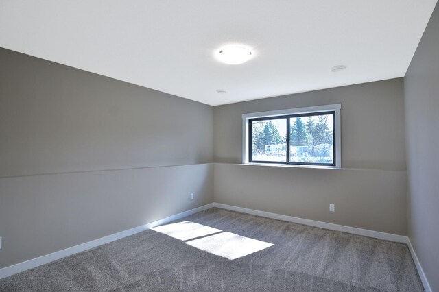 1504 14th Ave NE, Kasson, MN 55944 - empty room featuring carpet flooring and baseboards