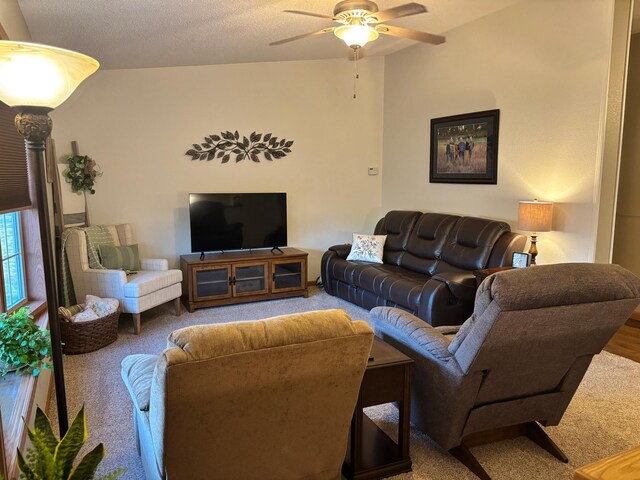 154 Pond Dr, Jackson, MN 56143 - carpeted living room with ceiling fan