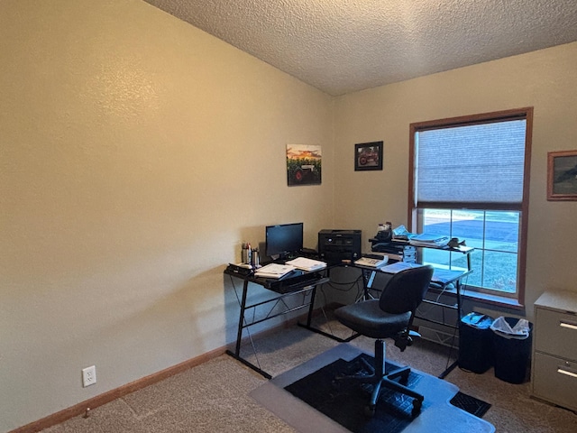 154 Pond Dr, Jackson, MN 56143 - office area with carpet flooring, baseboards, and a textured ceiling