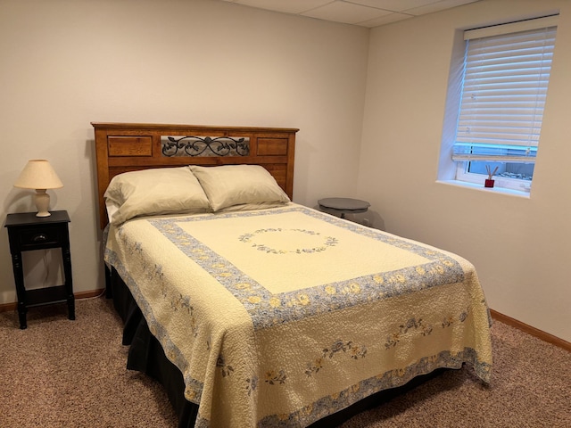 154 Pond Dr, Jackson, MN 56143 - bedroom featuring baseboards, a drop ceiling, and carpet floors