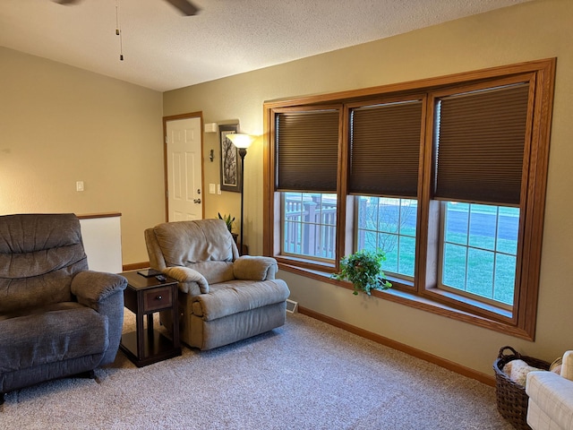 154 Pond Dr, Jackson, MN 56143 - carpeted living room featuring ceiling fan, baseboards, and a textured ceiling