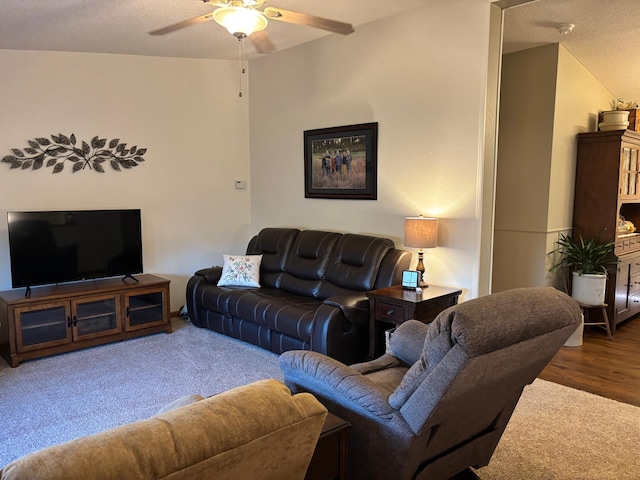 154 Pond Dr, Jackson, MN 56143 - living room with a ceiling fan, carpet, wood finished floors, and a textured ceiling