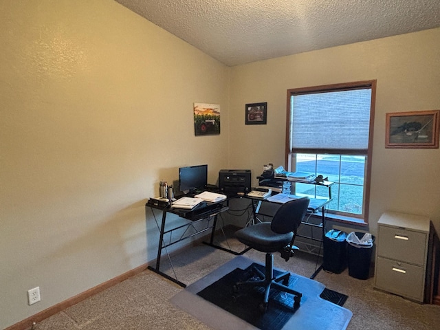 154 Pond Dr, Jackson, MN 56143 - home office with a textured ceiling, baseboards, and carpet