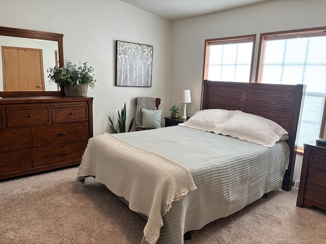 154 Pond Dr, Jackson, MN 56143 - bedroom with multiple windows and light colored carpet