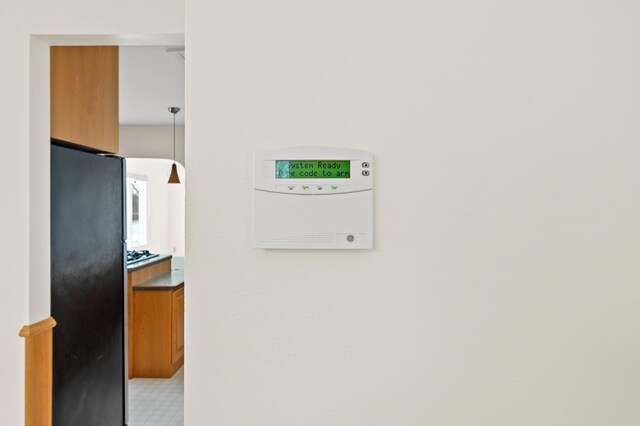 details with freestanding refrigerator