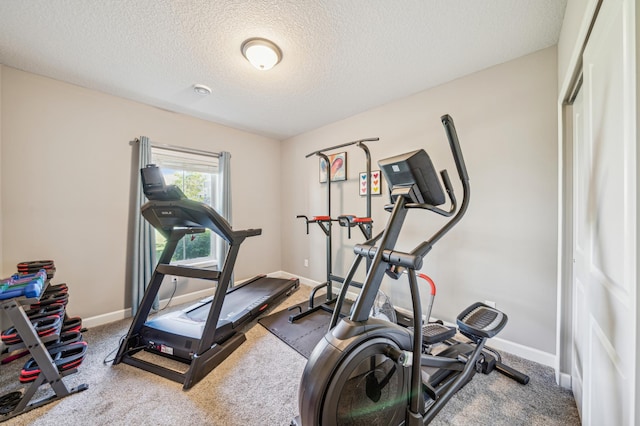 4271 Corn Silk Ln, Woodbury, MN 55129 - exercise room with a textured ceiling, baseboards, and carpet