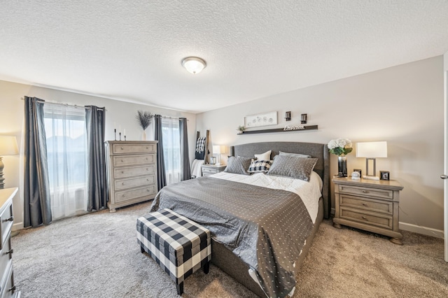 4271 Corn Silk Ln, Woodbury, MN 55129 - bedroom featuring carpet floors, a textured ceiling, and baseboards