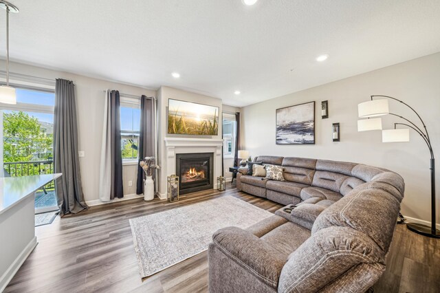 4271 Corn Silk Ln, Woodbury, MN 55129 - living area featuring a glass covered fireplace, wood finished floors, recessed lighting, and baseboards