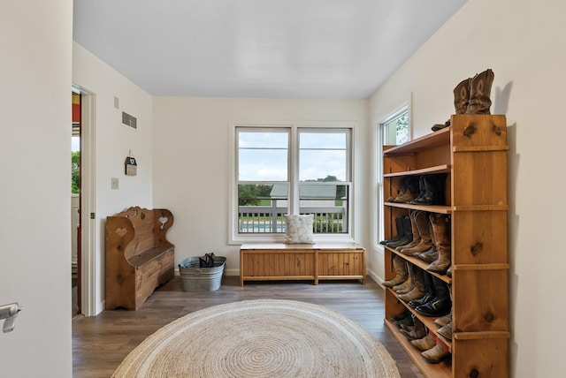 16985 Homestead Rd, Carver, MN 55315 - sitting room featuring wood finished floors