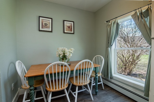 311 Prairie St, Lake City, MN 55041 - dining room featuring baseboards, wood finished floors, and a baseboard radiator