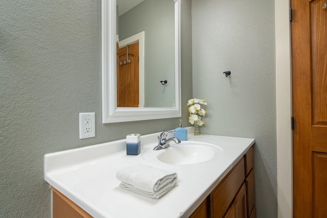 311 Prairie St, Lake City, MN 55041 - bathroom with a textured wall and vanity