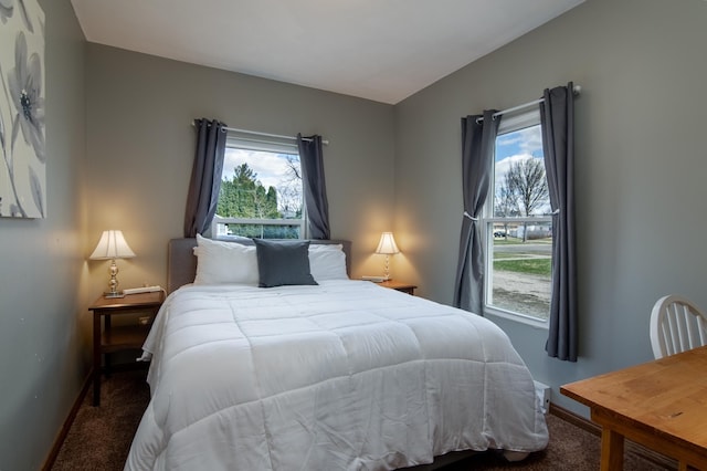 311 Prairie St, Lake City, MN 55041 - carpeted bedroom with baseboards