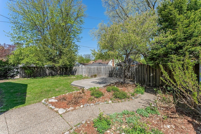 view of yard featuring a patio