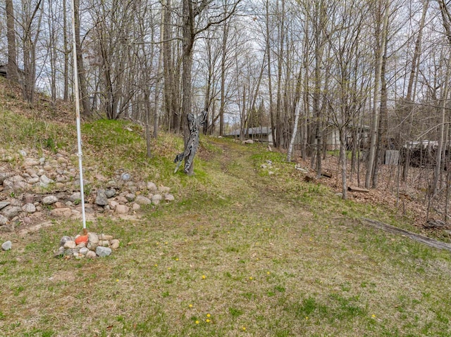 16227 Bay Dr, Pengilly, MN 55775 - view of yard