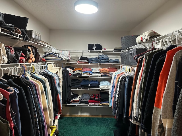walk in closet featuring carpet floors