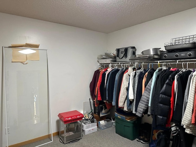 walk in closet featuring carpet floors