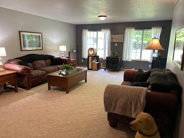 16051 Leisure Dr, Burlington Twp, MN 56501 - photo 26