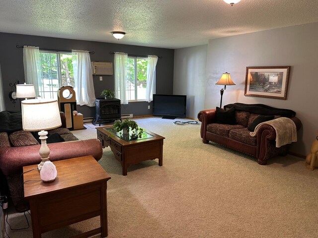 16051 Leisure Dr, Burlington Twp, MN 56501 - photo 27