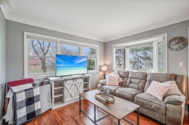 living room featuring wood finished floors